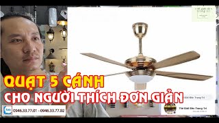 Decorative iron ceiling fan with 5 blades, simple and easy to reassemble, very beautiful