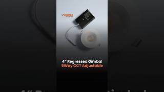 4' Regressed Gimbal - 5Way CCT & Power Adjustable