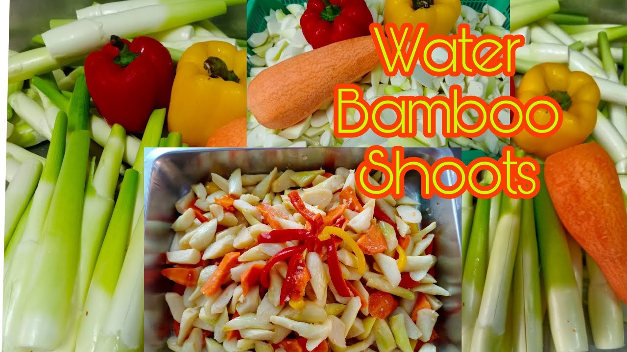 Water Bamboo Shoots (Simple Saute Menu) YouTube