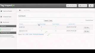 Tag Inspector - Navigating View Scan Results
