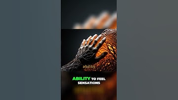 Reverse Nerve Damage Naturally with This Vitamin