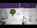 Random Forest in 7 minutes