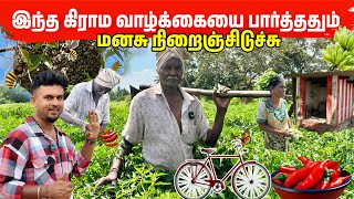 🌞யாழ் மட்டுவில் ஊரில் இருக்கும் சொர்க்க வாழ்க்கை | Jaffna Village Life 