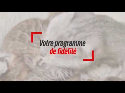 Royal Canin - Présentation du portail Mon Espace Eleveur