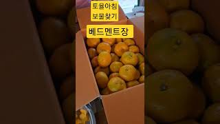 맛있게 드셔요 #문화혁신학교 #봉숭아학당 #안숙희tv