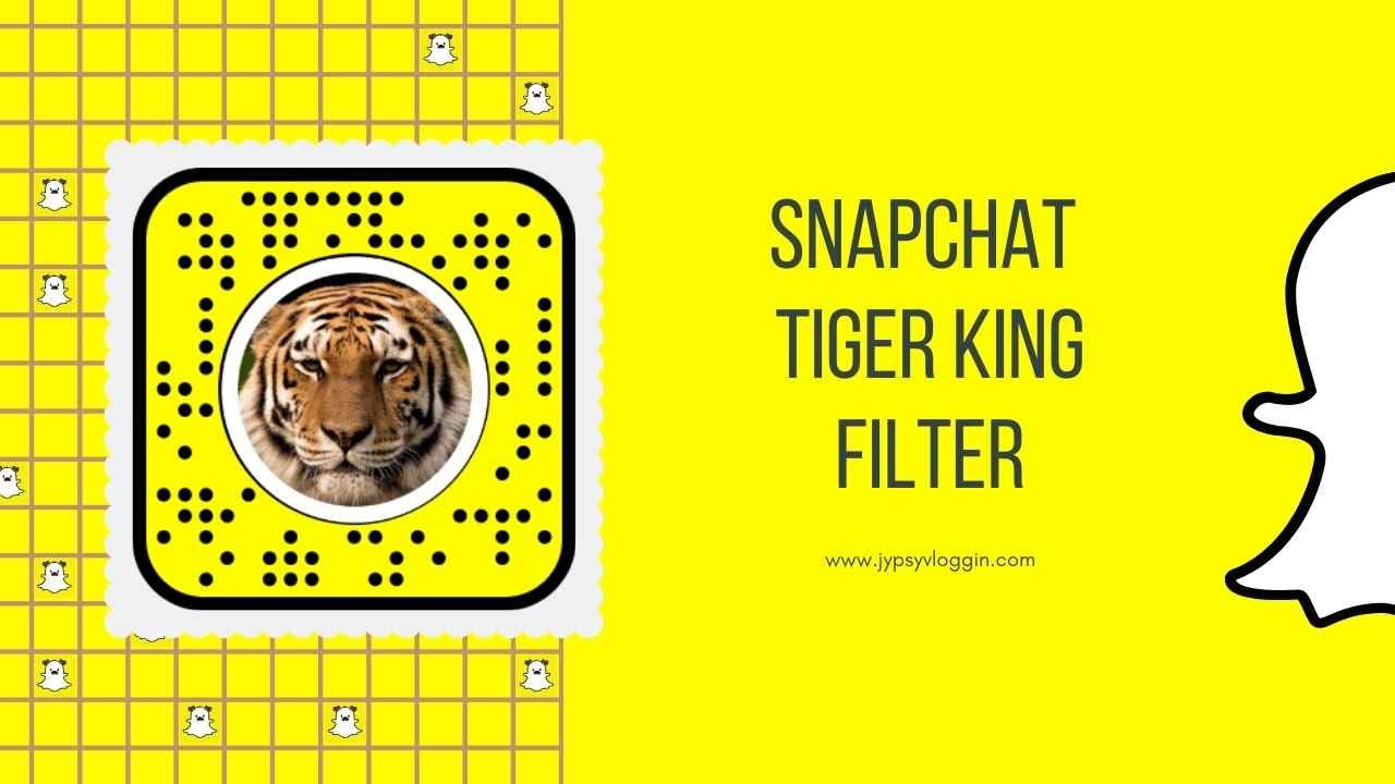 Tigar snapchat. Tiger snapchat. Тигр снэпчат без фона. Фильтр короля Instagram. Фильтр тайгер