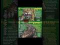 Jaguar vs Black Caiman who wins? #vsedit #debate #animals