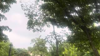 Thunderstorm arriving, Seneca, SC, 1656 hrs, Wednesday 10 June 2026, 89°, 52%, SW 4-7 mph, CAVU