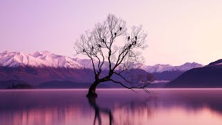 Green Wednesday Embers Cloud Dance Background Relax Chill Study music