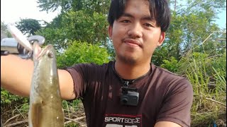 Ofmer Minnow The Killer. Test Actoin Cam Akaso V50X