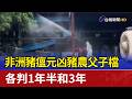 非洲豬瘟元凶豬農父子檔 各判1年半和3年
