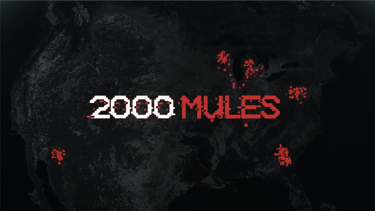 After sharing 2000 Mules, Vimeo thanks harvesting boxes of illegal ballots is good