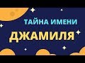 Тайна имени Джамиля