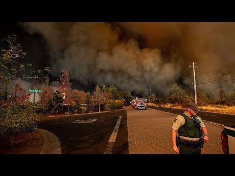 Видео: Лесной пожар прекратился?