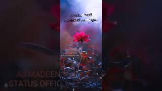 Mubarak Status Of Madeena Status Song Malayalam