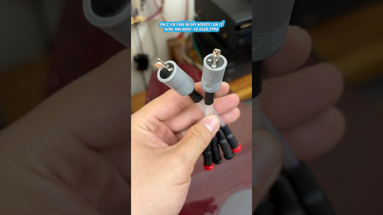 Regardez Din 2 loa dây nordost cổ xịn. Cắm rút hiệu quả. Hong anh Audio 08.6688.0998 sur YouTube Regardez Din 2 loa dây nordost cổ xịn. Cắm rút hiệu quả. Hong anh Audio 08.6688.0998 sur YouTube