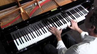 Miniatura de vídeo de "TUXEDO JUNCTION - Dan Delaney Jazz Trio"