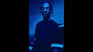 snoop dogg/it ain't no fun (if the homies can't have none) #1993