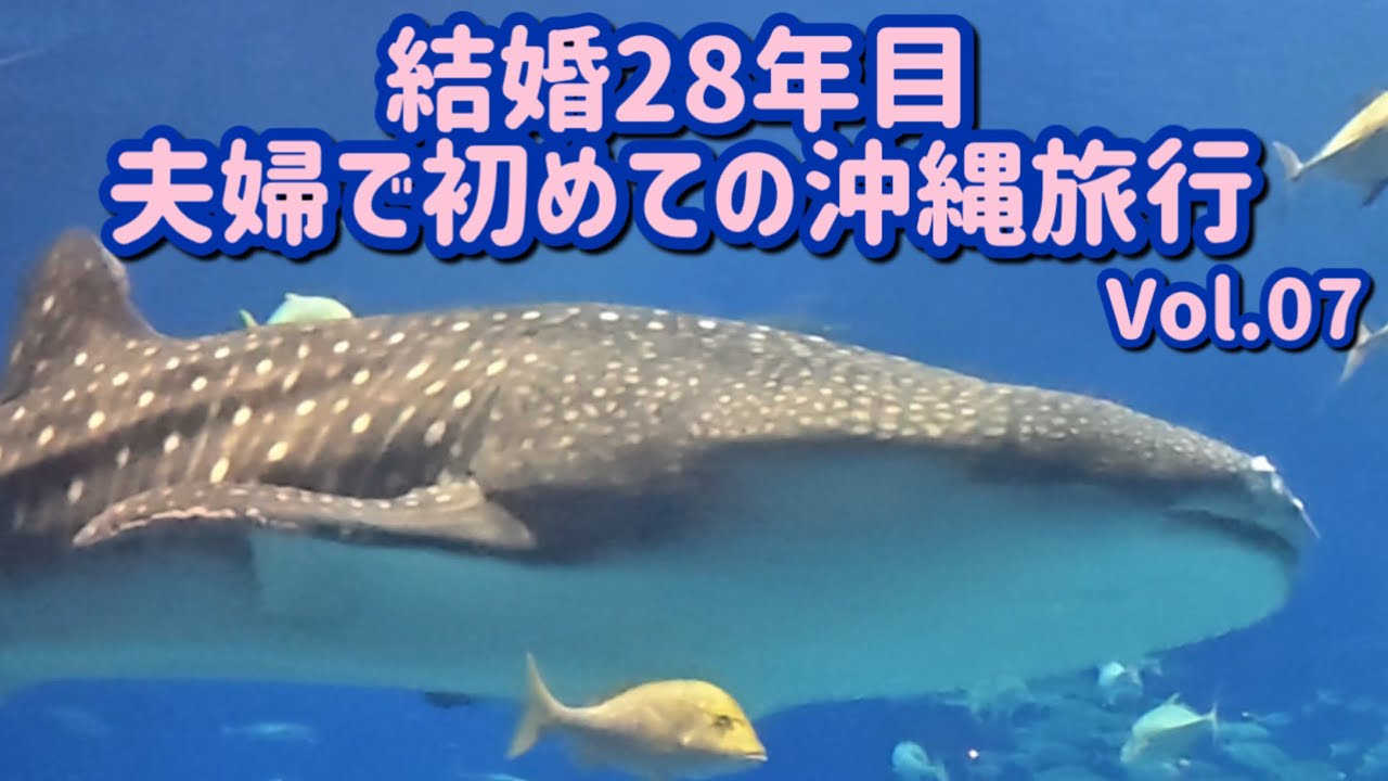 【沖縄県】夫婦で初めての沖縄旅行へ！美ら海水族館に午前と午後の２回行き、ジンベイザメを堪能！