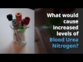 Blood urea nitrogen bun nursing lab values