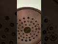 Dirty Shower Head?! LetsFixit! I mean LetsCleanit!!! #diy #letsfixit #iiWii #ItsAlwaysSomething