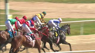 Vidéo de la course PMU HARDINESS HANDICAP