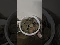 Storing Finds