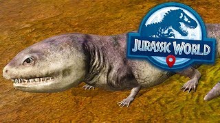 KOOLASUCHUS NOVO ÉPICO! - Jurassic World Alive - Ep 16