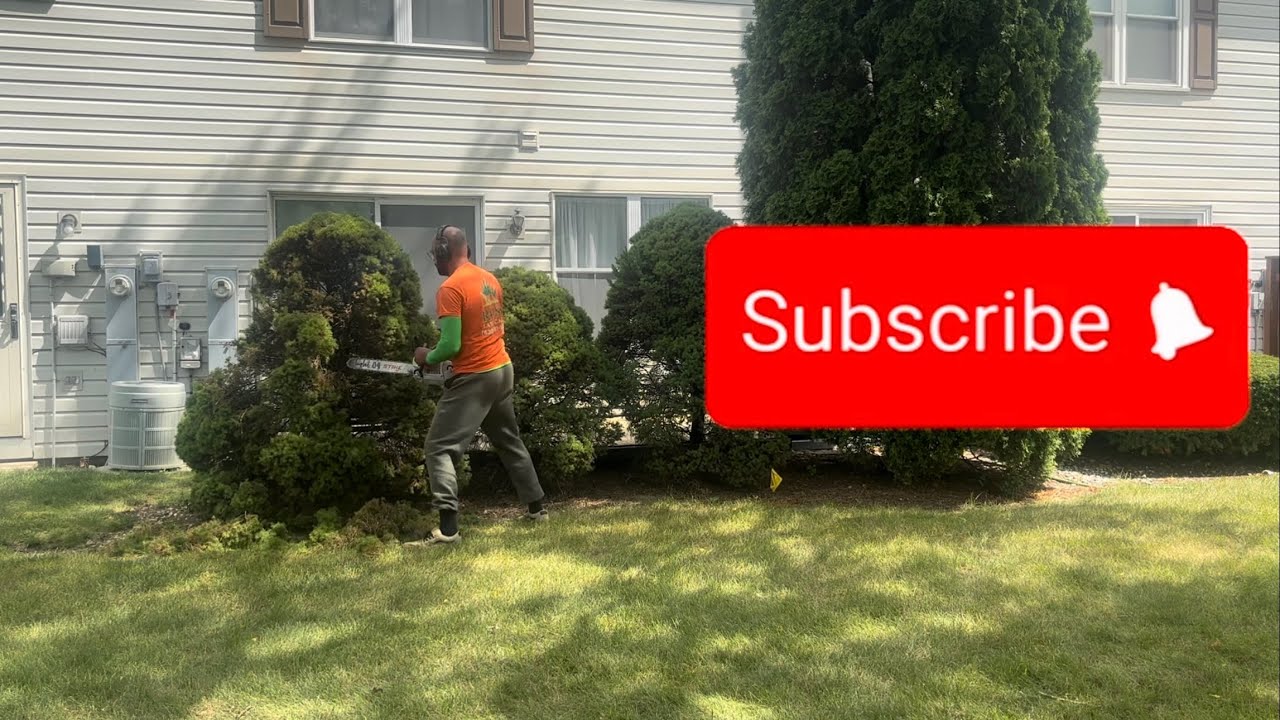 How to make $400 in one hour cutting down bushes, 10x speed