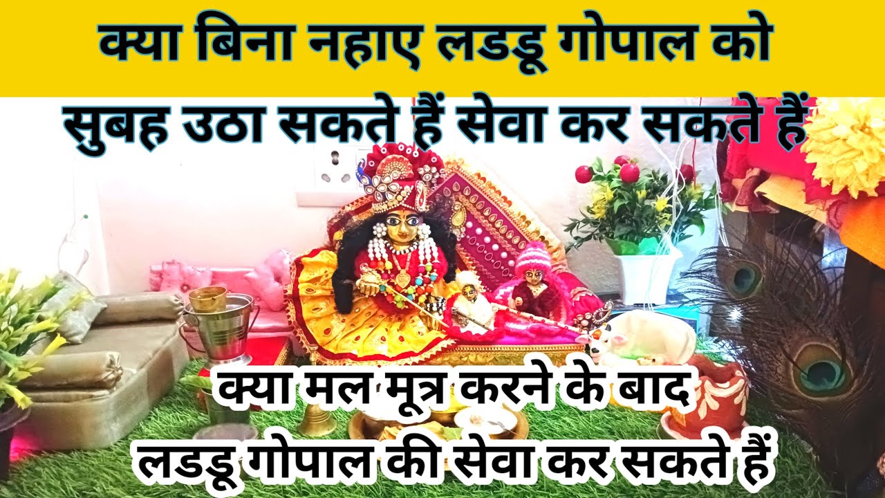 क्या बिना नहाए लडडू गोपाल की सेवा कर सकते हैं | मल मूत्र करने के बाद लड्डू गोपाल की सेवा कर सकते है