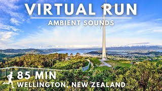 Virtual Running Video For Treadmill in Wellington (Zealandia), New Zealand #virtualrunningtv