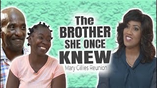De broer die ze ooit kende - Mary Gillies Reünie