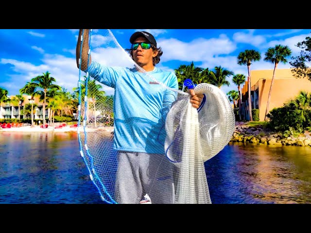 Cast Net Grind by Darcizzle Offshore @_darcizzle_ . Easy Pancskes