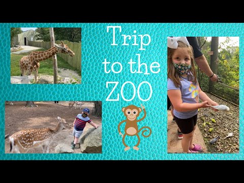 A Trip To The Zoo // Southwick Zoo, Mendon MA // Family Vlog