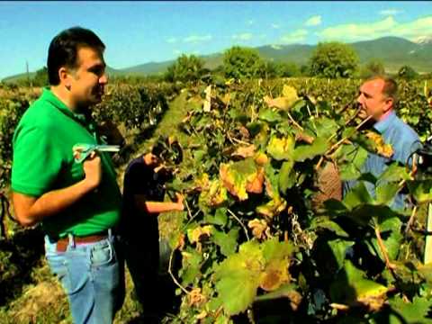 პრეზიდენტი გიორგიწმინდაში