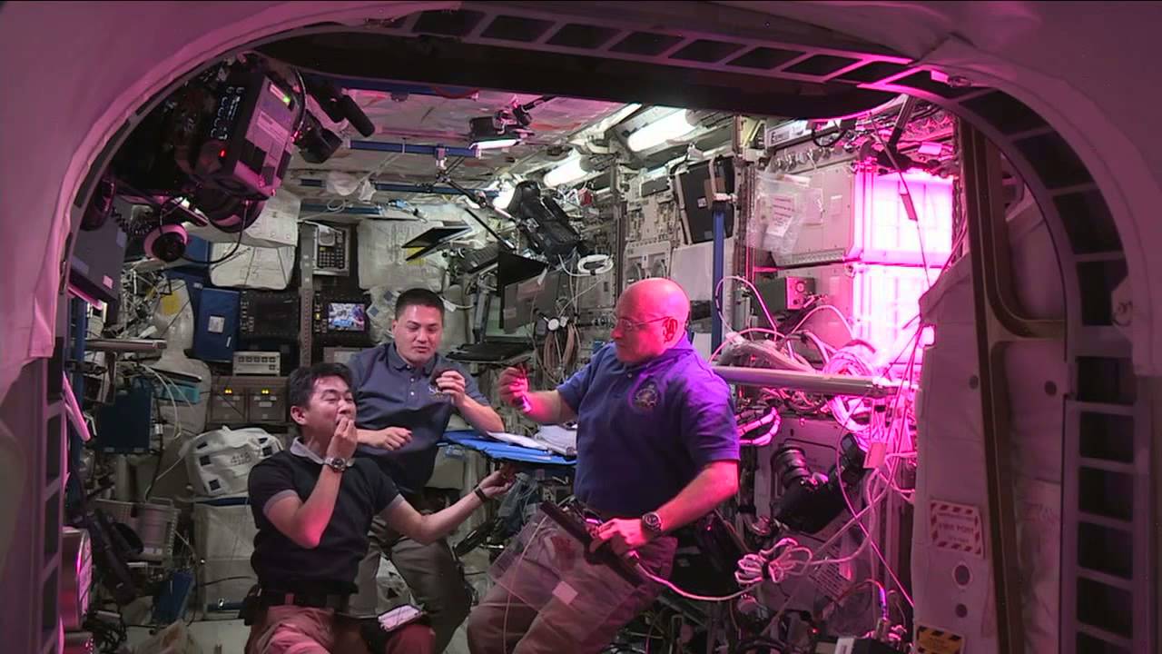 США посадят перец в космосе. Когда будет собран первый урожай? Как выращивают растения на МКС? Фото.