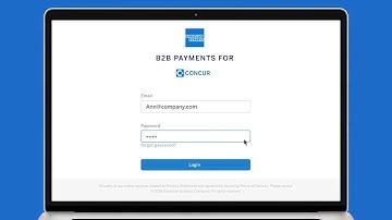 American Express and SAP Concur B2B Payment App Demo