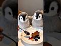 Cute little penguins eating cake #penguin #cake #cuteanimals #viralshorts