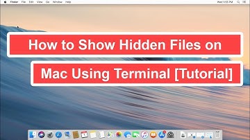 How to Show Hidden Files on Mac Using Terminal [Tutorial]