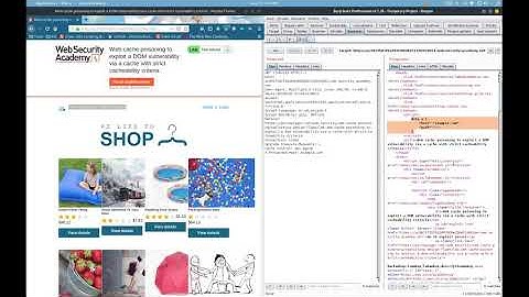 Web cache poisoning to exploit a DOM vulnerability via a cache with strict criteria- VIDEO SOLUTION