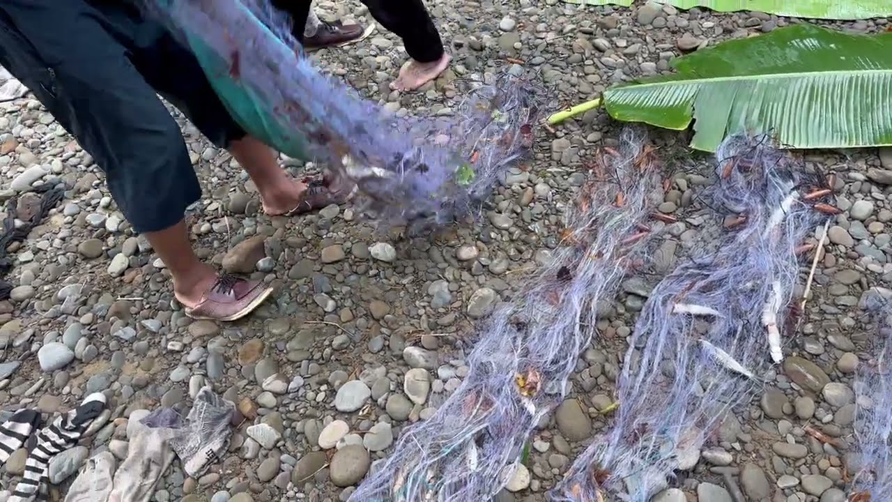 Do Smaller River Fish Taste Better? | 3 Days Living by the Creek – Day 1 | 