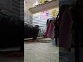 Doing 15 pushups