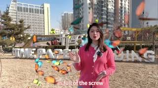 🌱Start of Spring (Li Chun) is the first of China’s 24 Solar Terms.