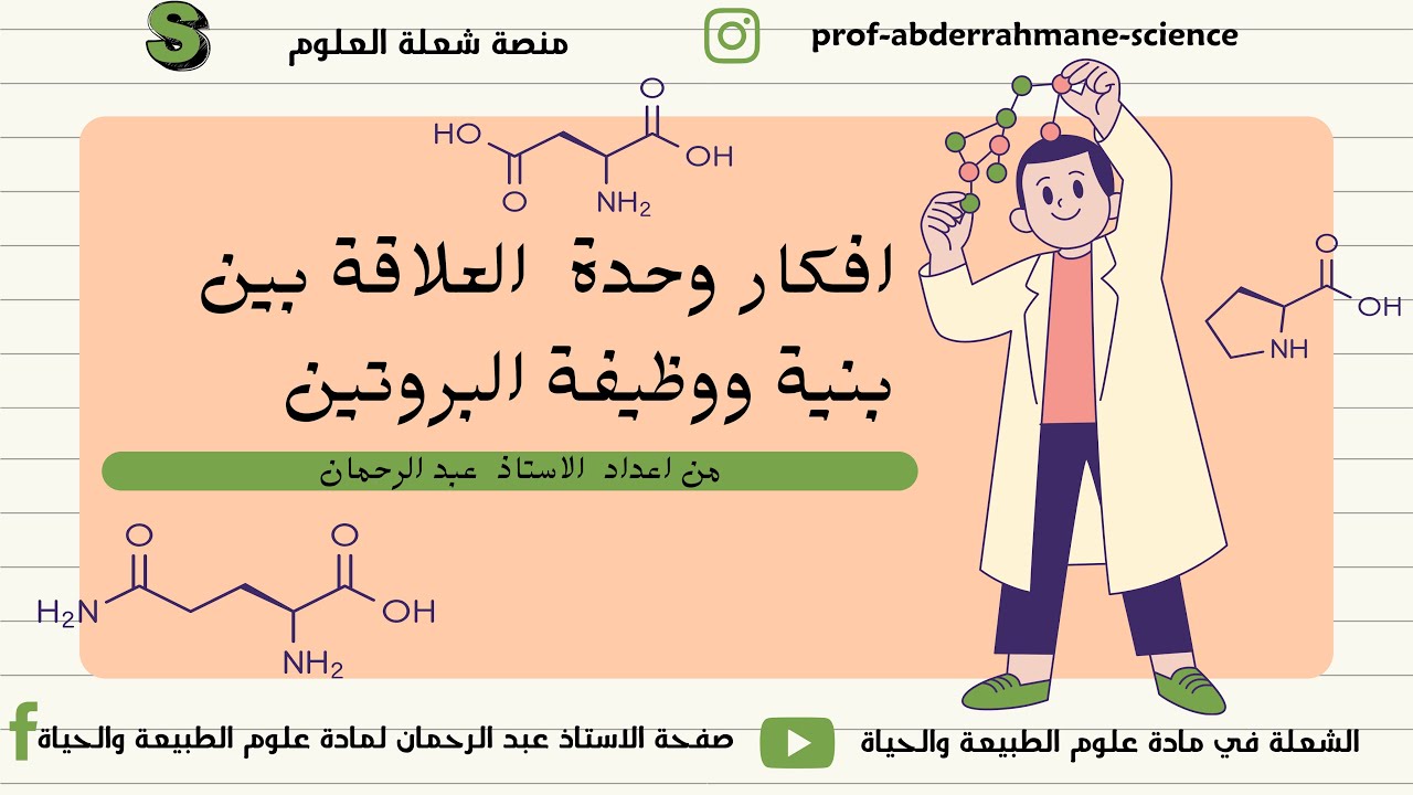 افكار تمارين وحدة  العلاقة بين بنية ووظيفة البروتين
