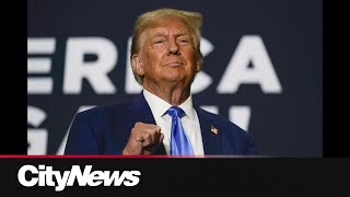 Celebrity Trump classified documents case dismissed Wealth