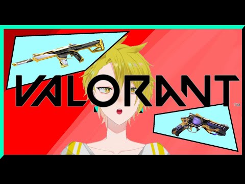 【VALORANT】さいんこさいんたんじぇんと【百目鬼翠\個人勢】