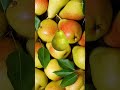 CUTE BABY IN PEAR#shorts #fruits #pear #tiktokviral #feedshorts