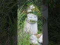 버림받은 돌하르방/입수염 하르방님/작년엔 얼굴을 다덮은 덩굴을 걷어드렸는데~/올핸  이대로도 아직은 괜찮은 듯하여 그냥 지나갑니다