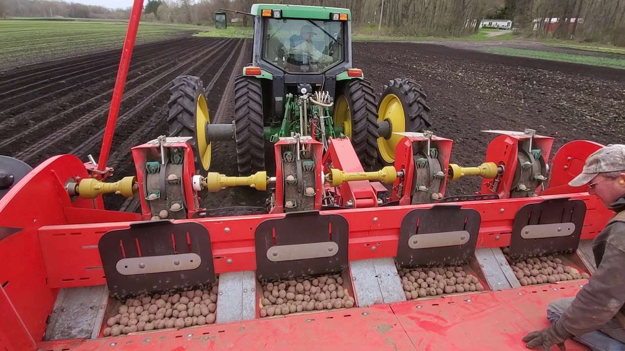 Planting potatoes on muck in NY