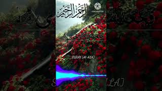 surah al ala part 1 /BeautifulQuranVoice#likeandsubscribe #quran #surah #peaceful #shortsfeed #share